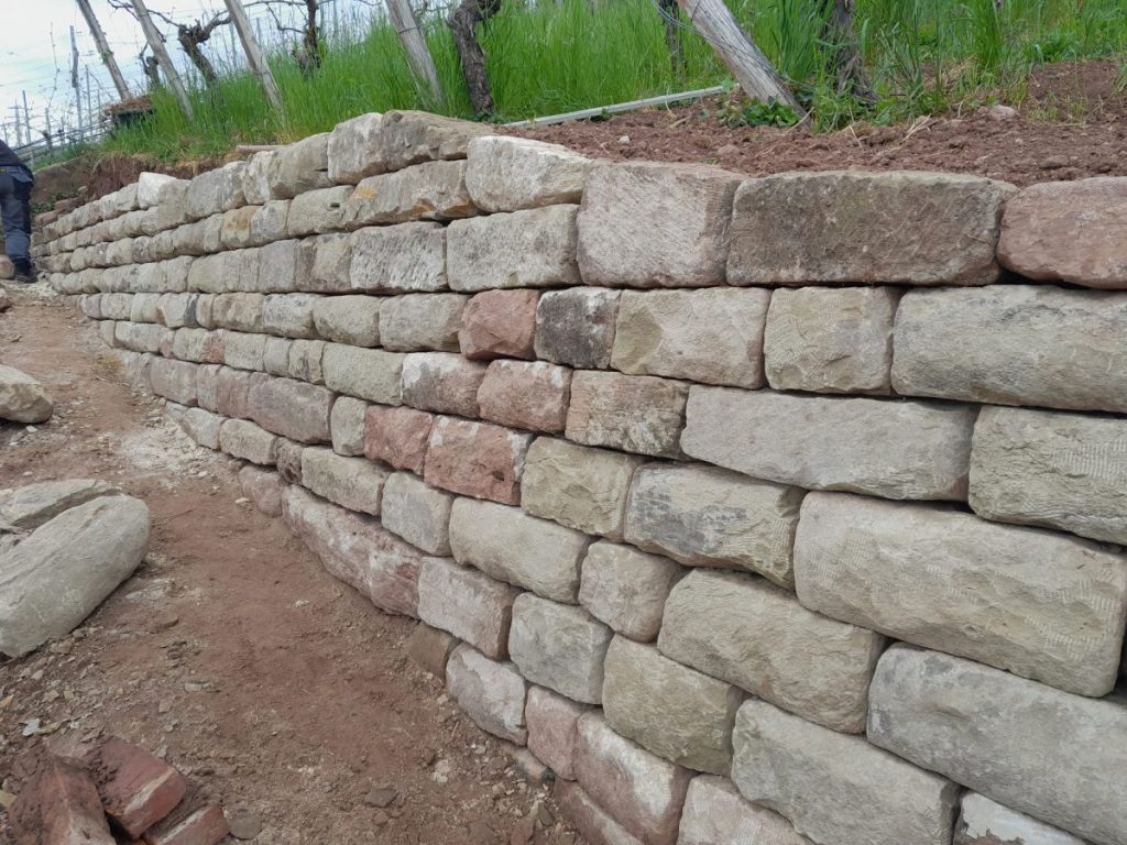 Weinbergmauern restauriert